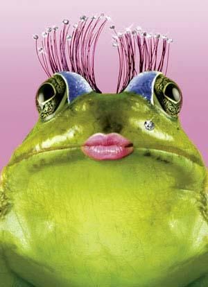 Lady Frog - Give me a kiss.... Funny Frogs, Frog Art, Seriously Funny, Green Frog, Frog And Toad, Cute Frogs, Funny Cards, Amphibians, Toad