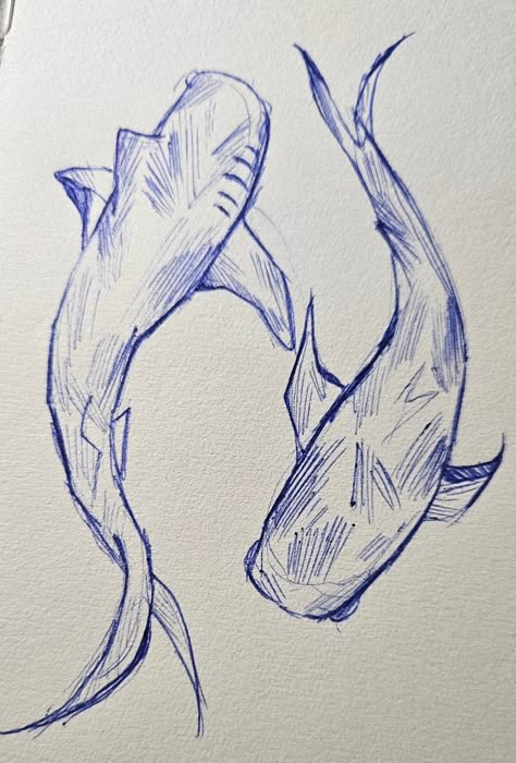 Shark Art Aesthetic, Shark Drawing From Above, Shark Reference Drawing, Drawing Whale Shark, Marine Animals Sketch, Hammerhead Shark Doodle, Shark Sketch Drawing, Drawing Ideas Shark, Shark Drawing Reference