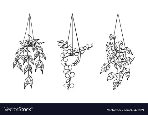 Hanging House Plants, Hanging House, Plants In Pots, Plant Doodle, Botanical Line Drawing, Plant Clips, Single Needle Tattoo, Plant Book, Plant Tattoo