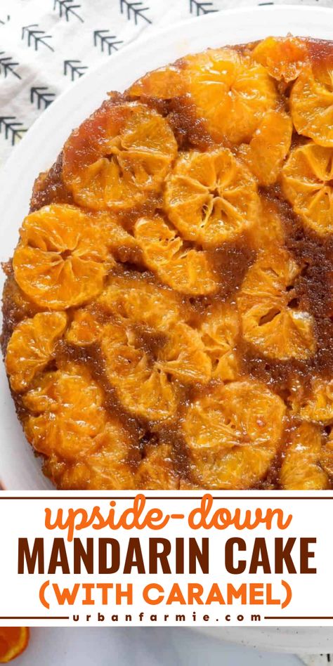 A must-try Easter baking idea! This easy Easter dessert recipe is a modern take on a traditional mandarin cake. Made with a cocoa base and a gooey caramel layer, this mandarin orange upside-down cake is delicious! Mandarin Orange Desserts Easy, Satsuma Upside Down Cake, Tangerine Upside Down Cake, Mandarin Orange Recipes, Mandarin Dessert, Mandarin Orange Dessert, Mandarin Cake Recipe, Mandarin Recipes, 4th Of July Dessert Ideas