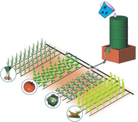 Drip Irrigation System Design, Irrigation System Design, Irrigation System Diy, Irrigation Diy, Drip Irrigation Diy, Plantarea Legumelor, Smart Farm, Garden Watering System, Water Irrigation