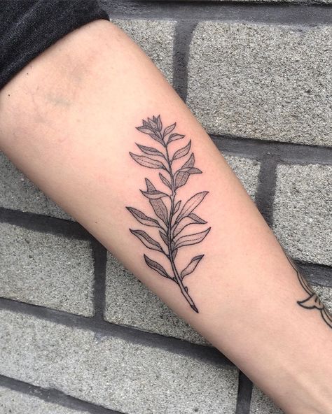 Wild sage from yesterday Sage Leaf Tattoo Simple, White Sage Tattoo, Sage Plant Tattoo, Leaf Tattoo Ideas, Sage Tattoo, Plant Tattoos, Tattoo Placements, Leaf Tattoo, Sage Plant