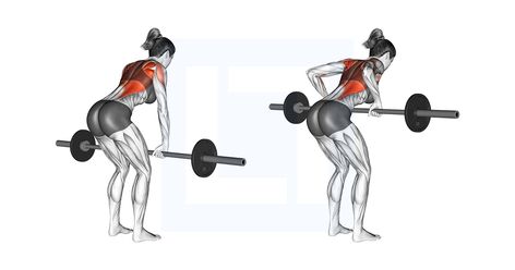 Lat Workouts, Seated Cable Row, Barbell Workouts, Lat Workout, Chest And Tricep Workout, Bent Over Row, Back Workout Routine, Hip Extension, Traps Workout