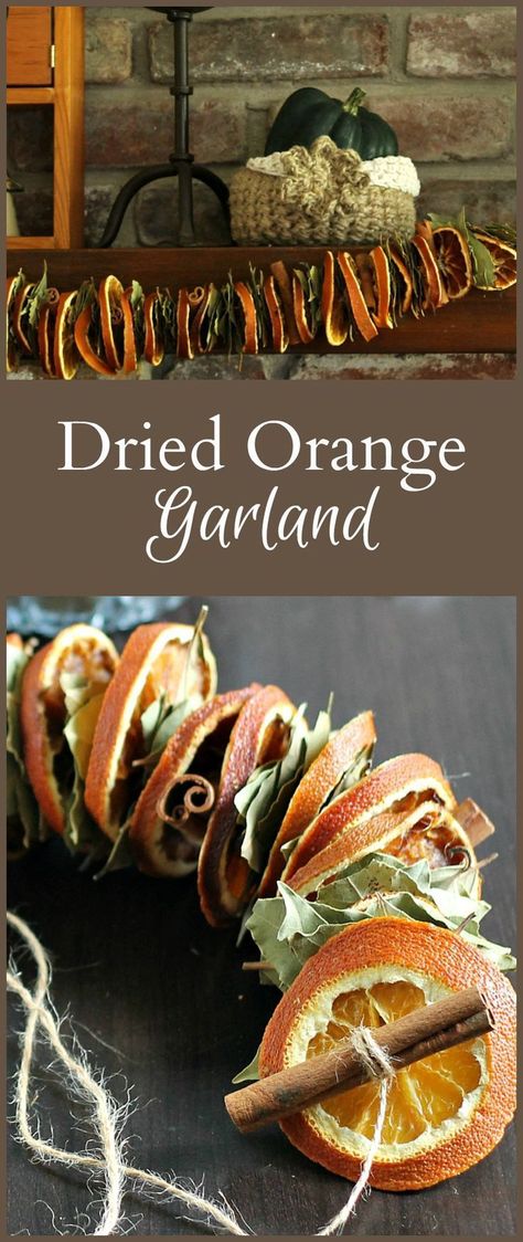 Learn how to make this dried orange garland with bay leaves and cinnamon sticks. It's a fun and easy decorating project for your home. #falldecor #Christmas #homedecor #naturecraft #botanical Dried Orange Garland, Christmas Garlands, Dried Oranges, Orange Garland, Navidad Diy, Bay Leaves, Diy Garland, Winter Home Decor, Thanksgiving Decor