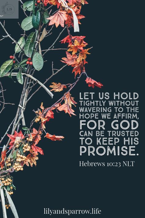 "Let us hold tightly without wavering to the hope we affirm, for God can be trusted to keep his promise." We can hold on tightly to our hope, because God is always faithful. Follow the link to the blog for more encouragement! #faith #scripture #encouragement #godisfaithful Hope In The Lord Scriptures, Those Who Hope In The Lord Will Renew, At My Lowest God Is My Hope, Quotes On Faith And Hope Trust God, Where There Is Hope There Is Faith, Hold On To Hope, Joyful In Hope Patient In Affliction, God Is Faithful, Faith Scripture