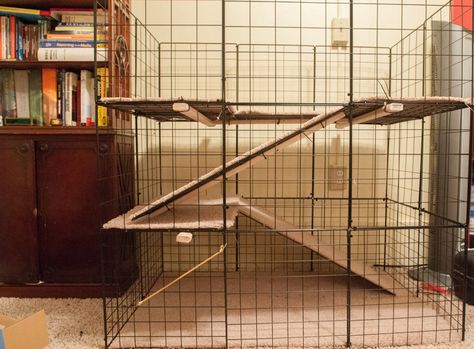 Bunny Condo, Diy Bunny Cage, Rabbit Hutch Plans, Diy Rabbit Cage, Bunny Things, Indoor Rabbit Cage, Diy Rabbit Hutch, Ferret Stuff, Rabbit Stuff