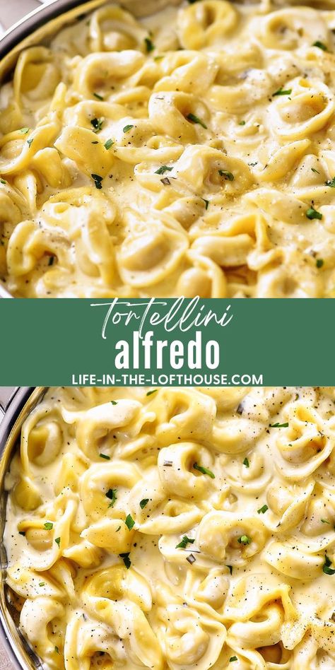 Tortellini Alfredo has rich and creamy Alfredo sauce poured over cheese-filled tortellini! This amazing recipe takes hardly any time to make! Fettucini Alfredo Recipe, Easy Tortellini Recipes, Alfredo Tortellini, Cheese Tortellini Recipes, Alfredo Pasta Bake, Jarred Alfredo Sauce, Baked Chicken Alfredo Pasta, Tortellini Alfredo, Creamy Alfredo Sauce