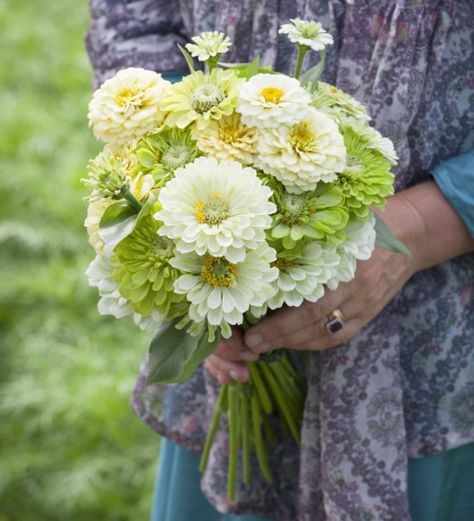 Zinnia Bouquet, Flower Seedlings, Zinnia Elegans, Sarah Raven, Zinnia Flowers, Plant Delivery, Cut Flower Garden, Home Flowers, Garden Soil