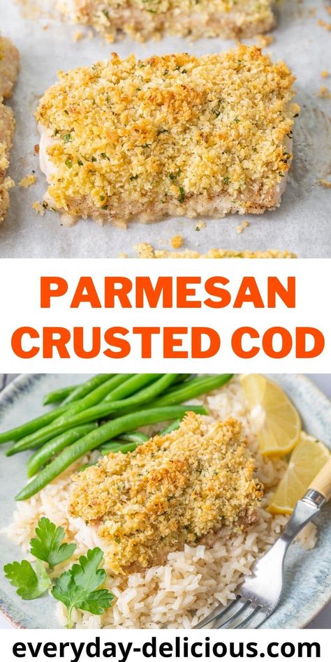 Parmesan Crusted Cod - Everyday Delicious Cod Pan Seared, Parmesan Crusted Cod, Parmesan Crusted Fish, Crusted Cod, Cod Fish Recipes, Meal Rotation, Trout Recipes, Butter Crust, Parmesan Crusted