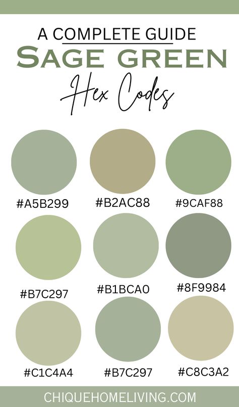 Sage Green Color Codes and Paint Colors 38 Sage Green Color Codes and Paint Colors Best Sage Green Paint Colors, Best Sage Green Paint, Sage Green Paint Colors, Sage Paint Color, Sage Green Paint Color, Sage Green Paint, Room Wall Colors, Pantone Colour Palettes, Barber Shop Decor