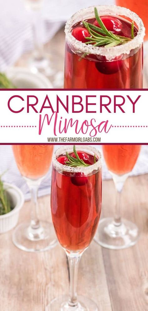 Toast the holiday season with this refreshing Cranberry Mimosa. This seasonal drink is perfect to serve at Thanksgiving, Christmas or to ring in the New Year. Your guests will love this easy drink recipe. #mimosa #cranberryrecipe #cocktail #Christmasrecipe Mimosa Recipe Orange, Cranberry Mimosa Recipe, Easy Christmas Cocktail, Cranberry Mimosas, Cranberry Mimosa, Christmas Cocktails Easy, Mimosa Cocktail, Amazing Drinks, Cocktail Chic