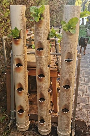 Pvc Pipe Garden Ideas, Strawberry Planters Diy, Tower Garden Diy, Diy Vertical Garden, Vertical Garden Indoor, Vertical Garden Diy, Vertical Planter, Tower Garden, Quiet Corner