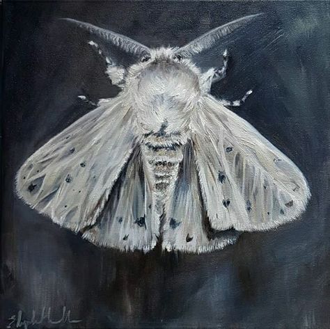 Moth Oil Painting, Moth Painting Acrylic, Peppered Moth, Moth Artwork, Brown Moth, Moth Painting, Moon Moth, Moth Art, Spirit Animals