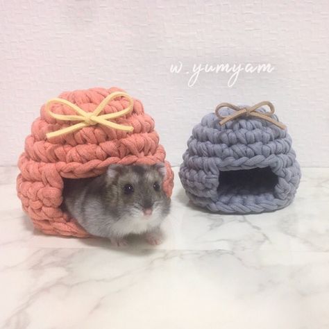 Hamster House 😋⠀ .⁣⠀ Click the link in the bio to check out the similar colors.⁣⠀ ⁣.⁣⠀ .⠀ 📸@w.yumyam .⠀ .⠀ #foxyyarnco #tshirtyarn #accessories #knitting #handmade #yarn #knit #yarnaddict #crocheting #crochetaddict #knittingaddict #yarnlove #yarnhoarder #crochetlove Diy Hamster House, Hamster Diy Cage, Crochet Hammock, Hamster Ideas, Crochet For Pets, Hamsters As Pets, Hamster Accessories, Pet Crochet, Cage Hamster