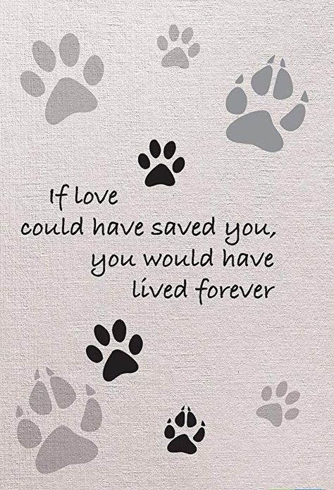 Dog In Heaven Quotes, Tattoo For Cat That Passed, Lost Pet Tattoo, Cat In Heaven, Pet Sympathy Quotes, Dog Heaven Quotes, Die Quotes, Miss My Dog, Dog Poems