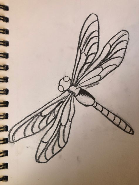 Dragonfly Pen Drawing, Dragon Fly Wings Drawing, Dragon Fly Drawings, Dragon Fly Drawing, Dragon Fly Wings, Fly Wings, Dragonfly Drawing, Art Homework, Fly Drawing