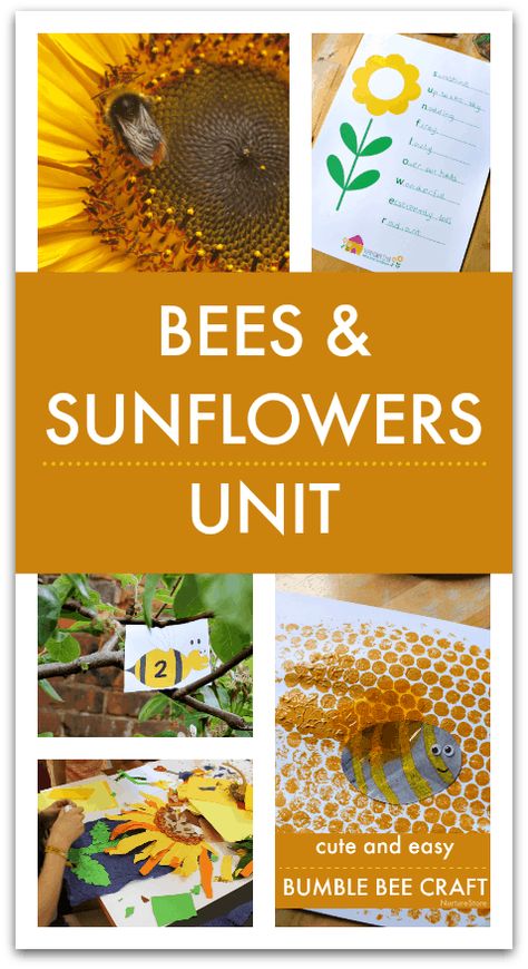 Bee Homeschool Unit, Bee Inquiry, Learning About Bees, Sunflower Art Project, Summer Lesson Plans, Bee Project, Garden Classroom, Montessori Board, Bumble Bee Craft