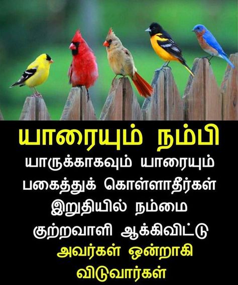 Tamil Quotes on Instagram Quotes About Life Tamil, Mistake Quotes, Quotes In Tamil, Tamil Motivational Quotes, Lakshmi Images, Tamil Quotes, Android Wallpaper Flowers, Best Love Songs, Wallpaper Nature Flowers