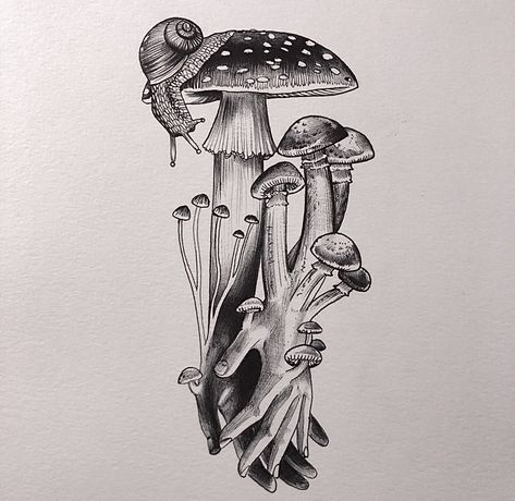 Mycology Tattoo, Mushrooms Tattoo, Snail Tattoo, Mushroom Tattoo, Surreal Tattoo, Armband Tattoos, Mushroom Tattoos, Owl Tattoo Design, Mushroom Drawing