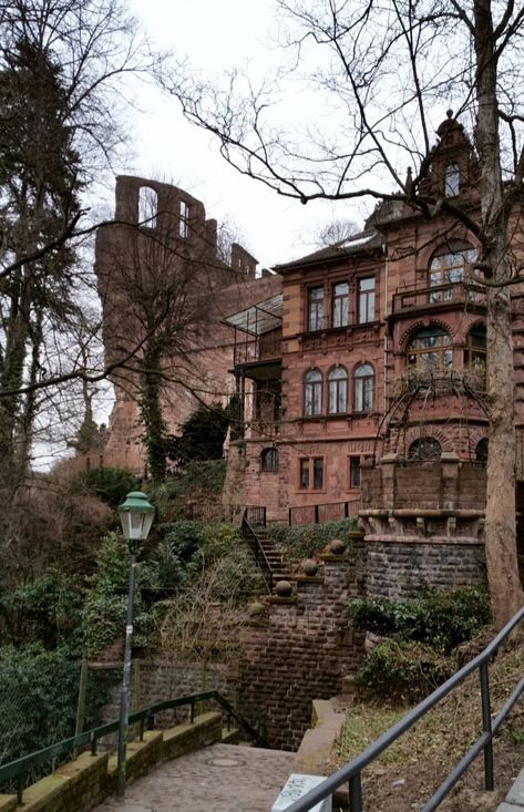 Heidelberg Germany Aesthetic, Heidleburg Castle, Day Trips From Frankfurt, Uni Moodboard, Study Moodboard, Heidelberg Castle, Heidelberg University, Heidelberg Germany, Germany Castles