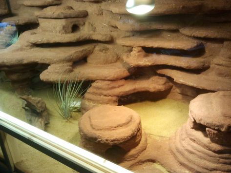 Ant Keeping, Reptile Tanks, Lizard Cage, Leopard Gecko Habitat, Leopard Gecko Tank, Lizard Habitat, Gecko Tank, Gecko Habitat, Diy Reptile