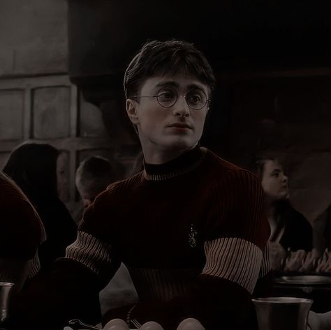 The Halfblood Prince, Hp Icons, Harry Potter Photography, Young Harry Potter, Gryffindor Pride, Daniel Radcliffe Harry Potter, Harry Potte, Harry Potter Icons, Harry Potter Gif