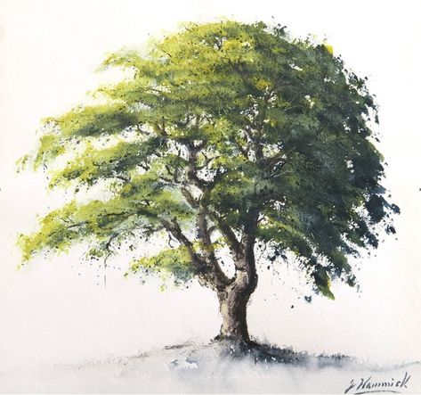 | [Jeremy Hammick] Oak Tree Watercolor Painting, Big Tree Painting, Oak Tree Sketch, Big Tree Drawing, Oak Illustration, Oak Drawing, Oak Tree Painting, Oak Tree Art, Oak Tree Drawings