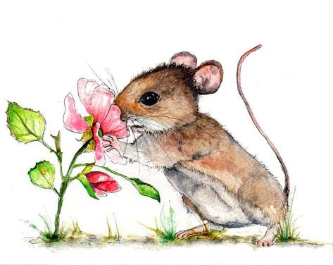 Mouse Art, Smell The Roses, Pet Mice, Random Images, Illustration Painting, Cute Animal Drawings, Water Colour, Watercolor Animals, Flower Illustration