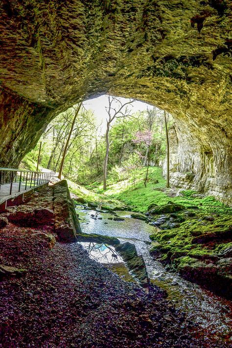 Smallin Civil War Cave in Ozark, Missouri Ozark Mountains Missouri, Missouri Houses, Missouri Aesthetic, Things To Do In Missouri, Missouri Photography, Missouri Caves, Branson Missouri Vacation, Arkansas Waterfalls, Missouri Vacation