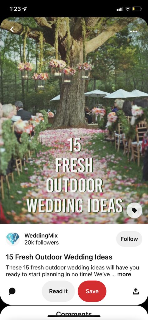 Garden Wedding Lighting Ideas, Intimate Wedding Ideas Outdoor Ceremony, Fence Decoration Wedding, April Outdoor Wedding Ideas, April Weddings Outdoor, Rustic Wedding Lighting Outdoor, Outdoor Weddings Rustic, 2023 Outdoor Wedding Trends, Outdoor Wedding Under Tree