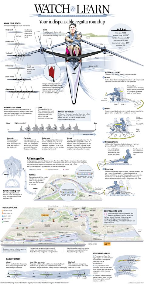 The Head of the Charles Regatta hits the 50th Anniversary mark. This graphic explains a little about rowing the unique course on the Charles River and competitive rowing. Rowing Scull, Rowing Memes, Rowing Quotes, Rowing Shell, Rowing Technique, Rowing Machine Workout, Rc Boats Models, Rowing Crew, Rowing Team