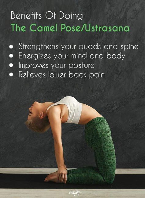 Ustrasana Pose, Camel Pose Yoga, Yoga For Back, Yoga Facts, Chronic Pain Relief, Camel Pose, Daily Yoga Workout, Yoga For Back Pain, Wellness Yoga