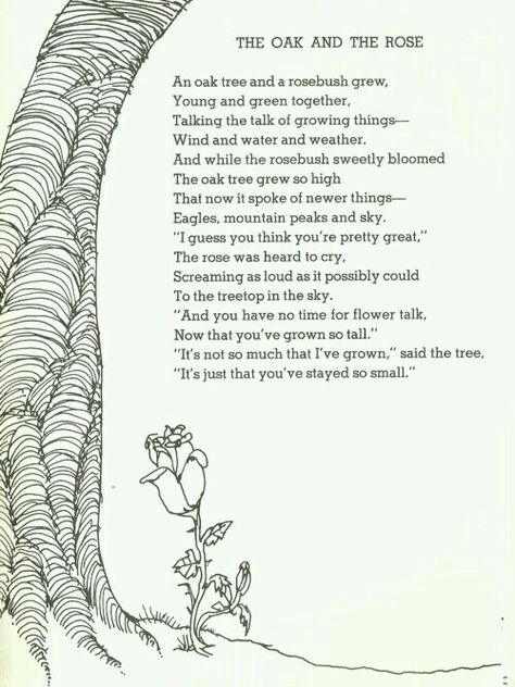 The Oak And The Rose by Shel Silverstein Poems About Beauty, Shel Silverstein Quotes, Silverstein Poems, Shel Silverstein Poems, Shel Silverstein, Growing Pains, Lessons Learned In Life, The Poem, A Poem