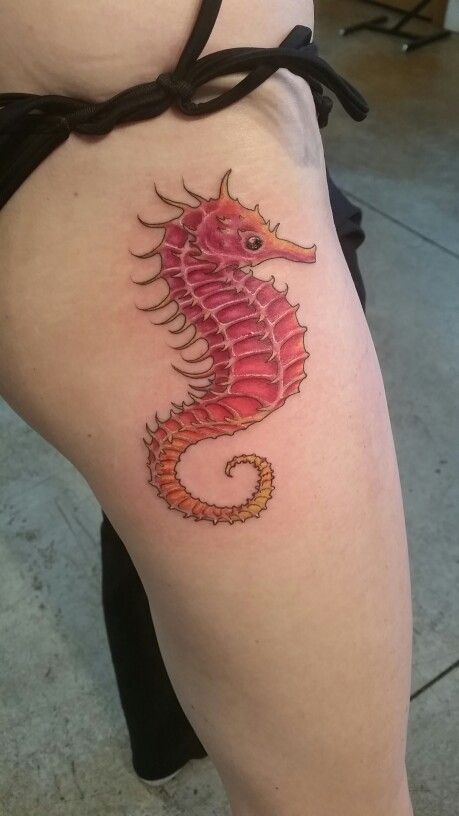 Sea Life Tattoos, Colorful Seahorse, Seahorse Tattoo, Ocean Scenes, Star Fish, Seahorses, Life Tattoos, Tattoos Ideas, Keep Going