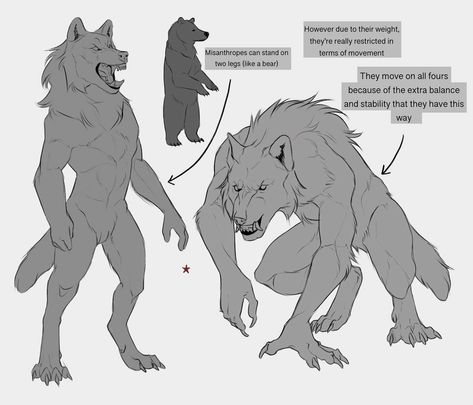 Pose Reference Werewolf, Werewolf Anatomy Design Reference, Wolf Person Drawing, Werewolf Drawing Refrences, Werewolf Drawing Poses, Werewolf Body Reference, Werewolf Reference Pose, Wolf Fur Pattern, Werewolf Side View