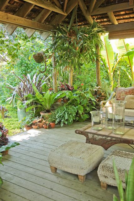 Tropical Yard, Mums Garden, Tropical Patio, Tropical Garden Design, Tropical Backyard, Small Backyard Gardens, Cave Creek, Garden Wallpaper, Backyard Garden Design