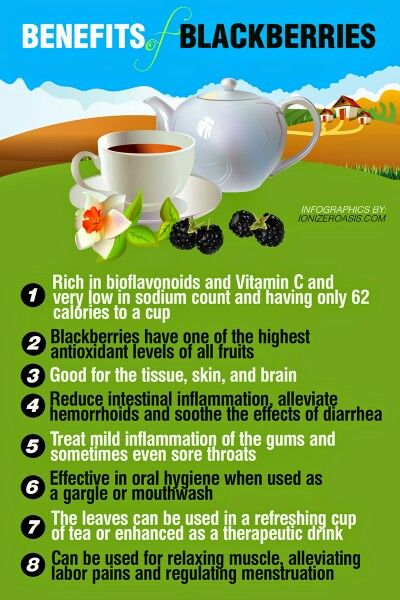 BlackBerry Blackberry Benefits, Blackberry Tea, Benefits Of Berries, Benefits Of Organic Food, Nutrition Chart, All Fruits, Tea Benefits, Healthy Food Options, Eating Organic