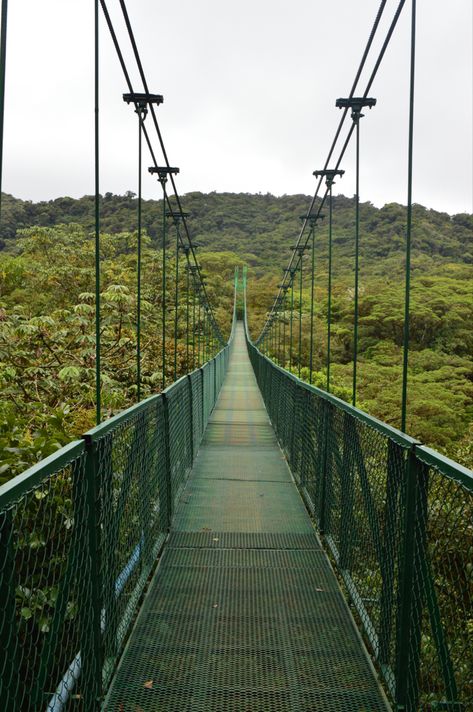 The Selvatura Adventure Park in Monteverde, Costa Rica Costa Rica Backpacking, Monteverde Costa Rica, Costa Rica Vacation, Monteverde, Costa Rica Travel, Gap Year, Adventure Park, Vacation Places, Central America