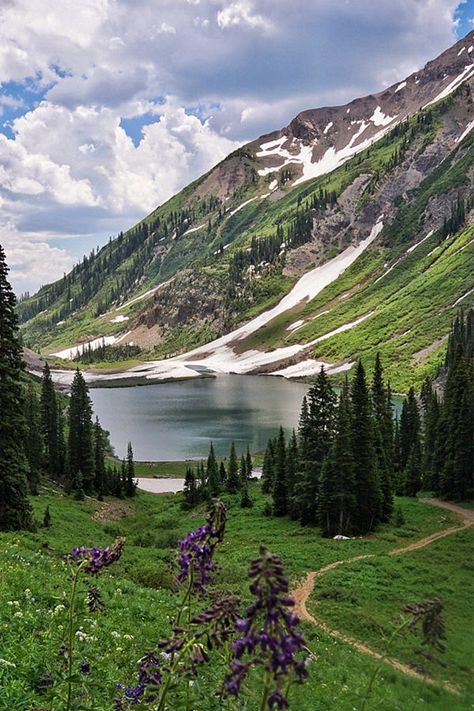 Emerald Lake Crested Butte, Emerald Lake Colorado, Gunnison Colorado, Colorado Wildflowers, Colorado Trail, Road Trip To Colorado, Colorado Trip, Colorado Fall, Crested Butte Colorado