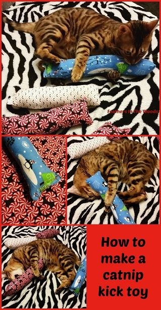 Diy Jouet Pour Chat, Grumpy Cats, Pet Crafts, Chat Diy, Cats Toys, Homemade Cat Toys, Diy Pet Toys, Diy Cat Toys, Cat Things