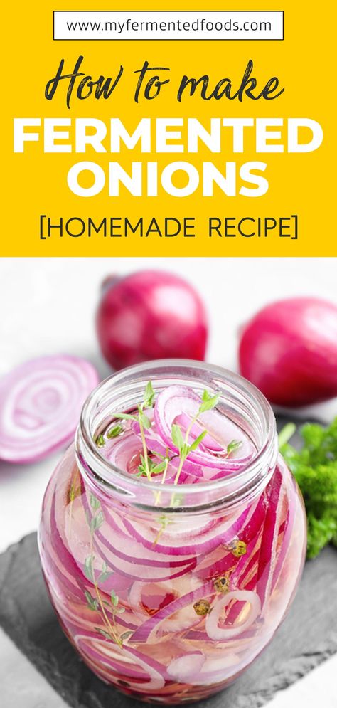 Fermented onions take away the rawness and replace it with a sweet and tangy flavour that most people are bound to love. So let us dive into the steps of how to make fermented onions. . . . #MyFermentedFoods #FermentedOnions #SweetAndSour #FermentedVeggie #Fermentation #Fermenting #FermentedFoods #Onions #RedOnion #PickledOnion Fermentation Brine Recipe, Fermented Salad Recipe, Fermented Food Recipes For Beginners, Fermentation Jar Recipes, Lacto Fermented Onions, Fermented Red Onions Recipe, Fermenting Vegetables Recipes, Homemade Fermented Foods, Sjambok Whip