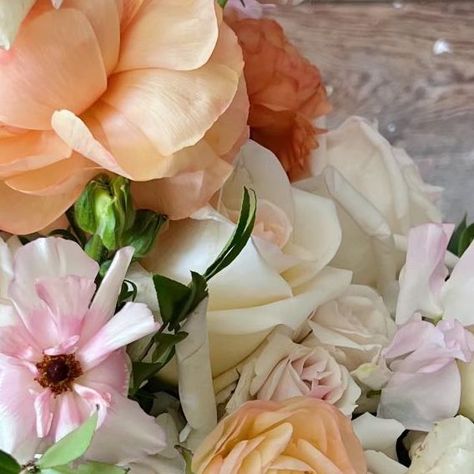 New Orleans Wedding & Event Florist on Instagram: "Sorbet hued spring bouquet with a focus on shades and pinks and peaches.  The light accents of pale blush on these sweet pea 😍 #fridayflowers #floralreels #lifeinflowers #flowerreels #bouquetoftheday #sorbet #sweetpeas #flowerlovers #allthingsfloral #fineartflowers #bouquetdesign #pastelflowers #pursuepretty #leafandpetalnola" Blush On, New Orleans Wedding, Spring Bouquet, Bouquet Design, Pastel Flowers, Wedding Event, Sweet Pea, Peaches, Focus On