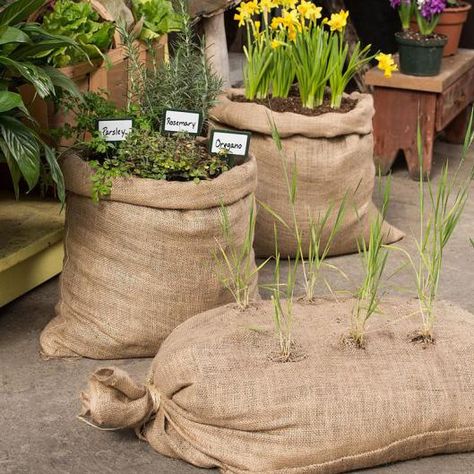 burlap gardens - still looks pretty. I need something for the porch - maybe this? Plant Bags, Burlap Projects, Burlap Bags, Grow Plants, Grow Bags, Veggie Garden, Growing Food, Garden Accessories, Growing Vegetables