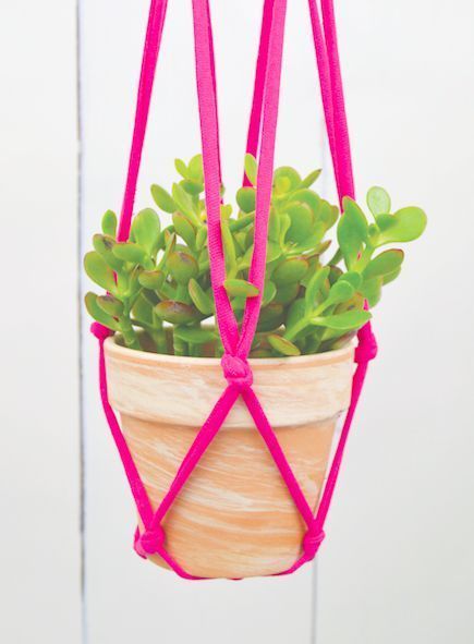 An easy knotted t-shirt hanging plant holder. All you need is 10 minutes, an old tee, and a pair of scissors for an instant and unique hanging planter! Plant Holder Diy, T Shirt Upcycle, Old Tee Shirts, Diy Hanging Planter, Crafts Vintage, Plant Pot Holders, Knitting And Crochet Patterns, Colored Rope, Hanging Plant Holder