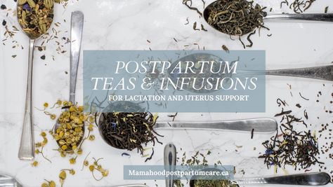 Wonderfully healing tea blend and herb infusion recipes for your postpartum body. Postpartum Tea Recipe, Postpartum Tea, Infusion Recipes, Tea Infusion Recipes, Tea Infusion, Bath Soaks, Healing Tea, Babies Stuff, Postpartum Body