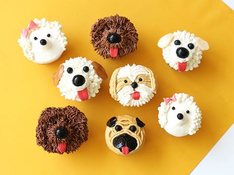 Dog Cupcakes for Food Network – Alana Jones-Mann Puppy Cakes, Cupcake Receptek, Puppy Cupcakes, Cookies Cupcake, Dog Cupcakes, Diy Cupcake, Birthday Party Treats, Puppy Cake, Cupcake Wars