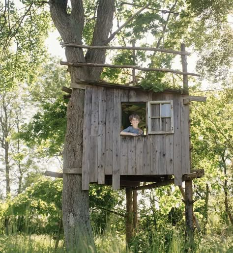 50 Kids Treehouse Designs Simple Tree House, Building A Treehouse, Tree House Plans, Tree Fort, Tree House Diy, Tree House Kids, Cool Tree Houses, Simple Tree, Tree House Designs