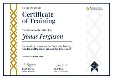 Elevate recognition with our formal and exceptional training certificate template. Download for free, customize with ease on Certifier, and celebrate achievements in style. Available in both portrait and landscape formats. Training Certificate Template, Certificate Of Training, Certificate Images, Train Template, Heavy Equipment Operator, Training Certificate, Employee Onboarding, Certificate Design Template, Certificate Of Completion