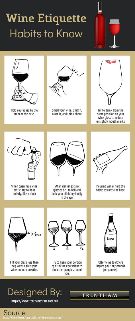 Wine Testing Ideas, Wine Tasting Infographic, Wine Bottle Etiquette, Wine Business Ideas, Wine Information, Wine For Beginners, Wine Consultant, Home Winery, Wine Content