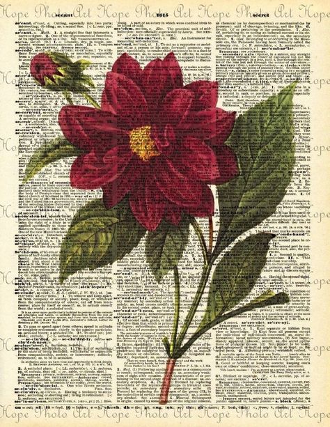 Aesthetic Wall Decor Pictures Printable, Vintage Red Poster, Vintage Pictures Printable, Aesthetic Wall Decor Printable, Page Aesthetic, Printable Wall Collage, Newspaper Art, Arte Peculiar, Book Page Art